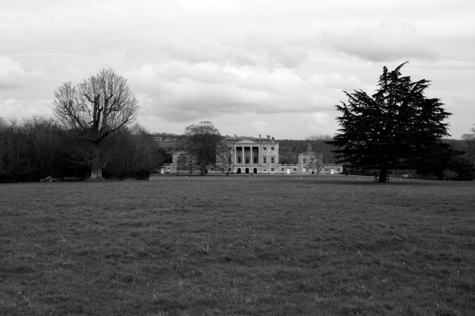 A black-and-white image showing a large, open grassy area with two prominent trees—one on the left with bare branches and one on the right with dense, dark foliage—in the foreground. In the background, there is a grand, historic mansion-style building with multiple windows and a symmetrical façade, situated across the open space. The sky above is cloudy with a mix of darker and lighter cloud formations, casting diffuse lighting over the scene. This setting illustrates an outdoor environment that could be part of a property involved in house removals or a rural estate, typical of tasks handled by companies like Man with Van Manor House during home relocation projects. The image captures the contrast between natural elements and the architectural structure, emphasizing the context of property transfer, furniture transport, and the logistics of moving or packing in a spacious estate environment.